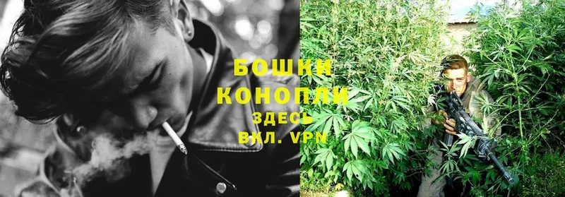 Конопля OG Kush  Миллерово 